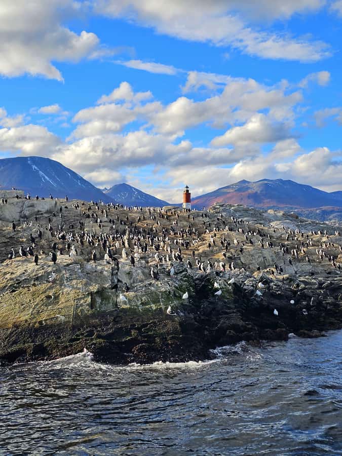 Ushuaia: Beagle Channel and Penguin Island - Leaving Ushuaia Bay for the Beagle Channel