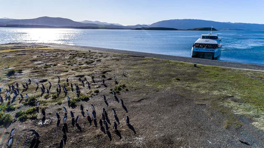 Ushuaia: Beagle Channel and Penguin Island - Comfort, food, and finding a good viewing spot