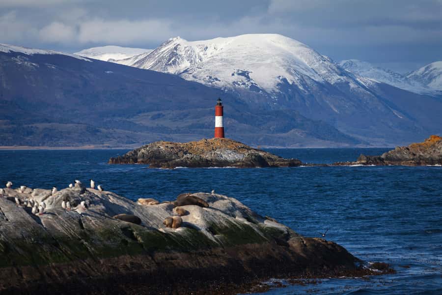 Ushuaia: Beagle Channel Boat Tour and Penguin Experience - Why the Martillo Island walk is the star