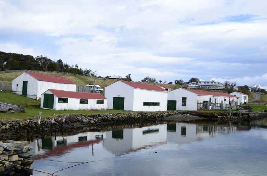 Ushuaia: Beagle Channel Boat Tour and Penguin Experience - Is the $449 price fair?