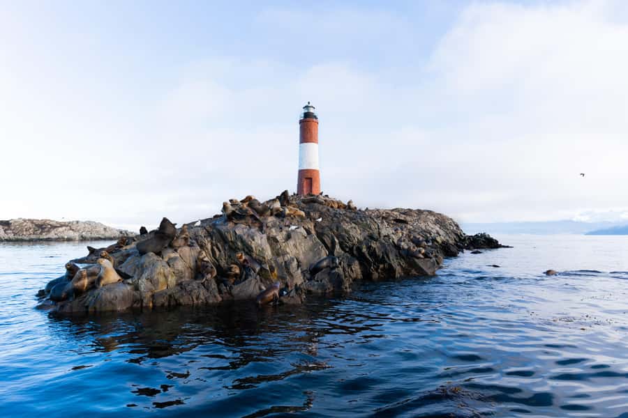 Ushuaia: Beagle Channel Catamaran Tour - Should you book the Beagle Channel catamaran?