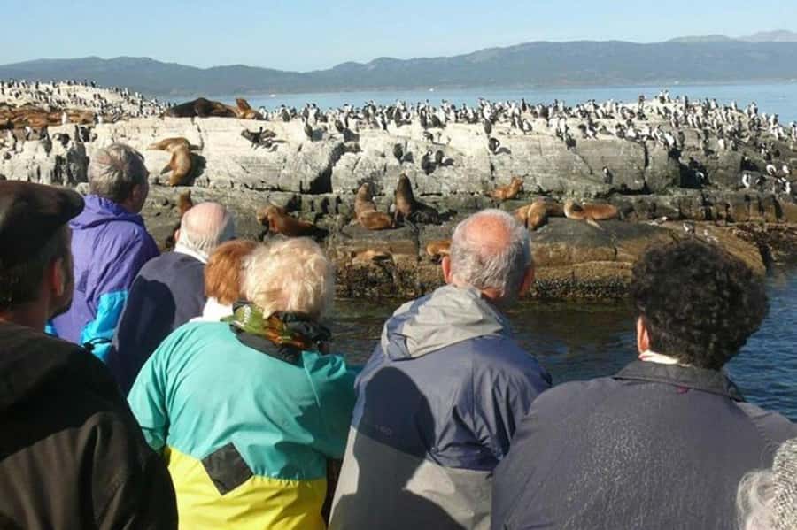 Ushuaia: Beagle Channel Penguin Colony Tour - Isla de los Lobos and the sea lion stop