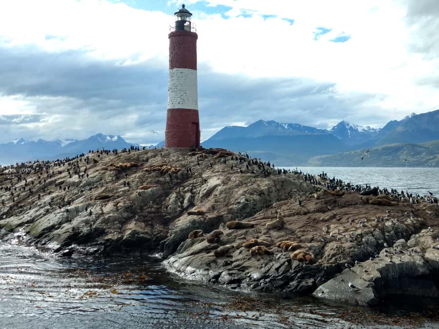 Ushuaia: Beagle Channel & Sea Wolves Island Catamaran Cruise - Returning to Ushuaia by catamaran