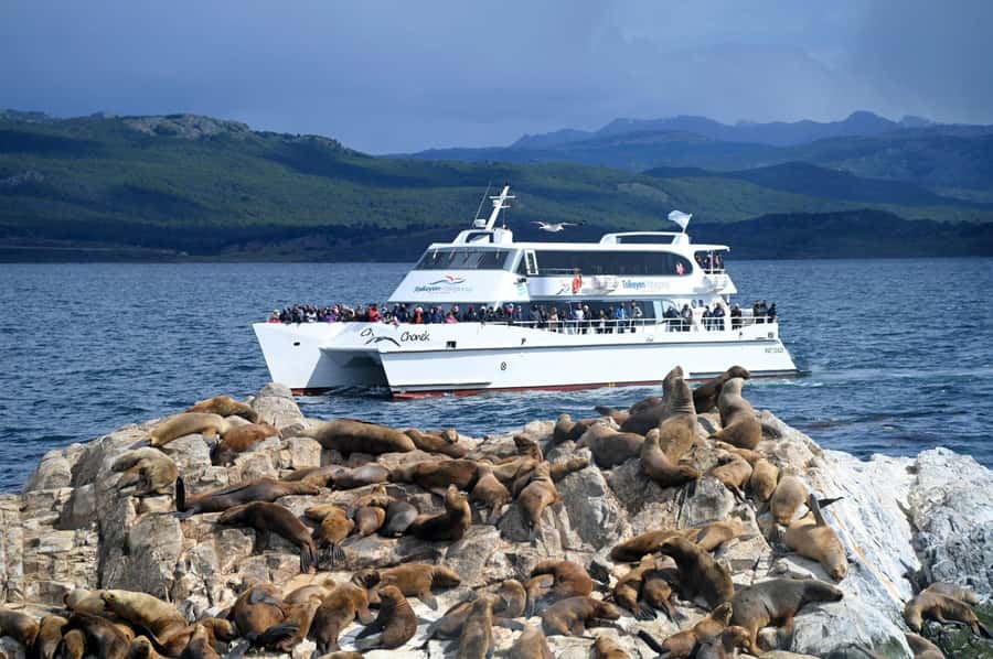 Ushuaia: Beagle Channel, Seal Island & Bridges Islands Tour - Key points to know before sailing