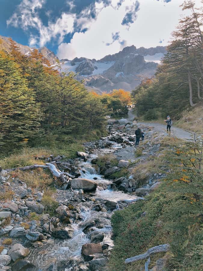 USHUAIA | City Tour + Martial Glacier Reserve - Reaching Martial Glacier Reserve