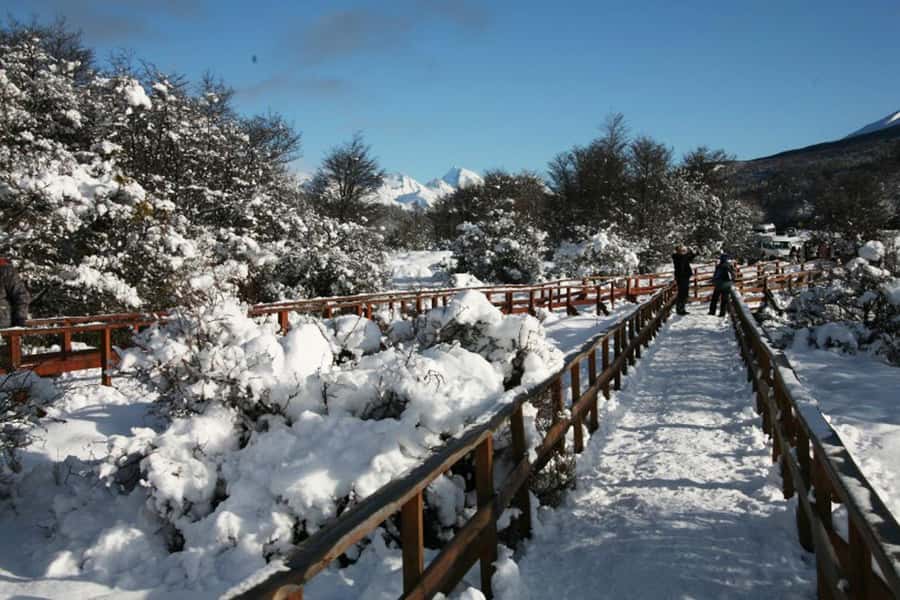 Ushuaia: End of the World Train Ride & Tierra del Fuego Park - Is $140 a fair price for five and a half hours?