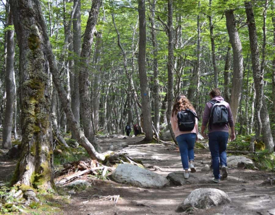 Ushuaia: Laguna Esmeralda Guided Trek with Box Lunch - Is $100 a fair price?