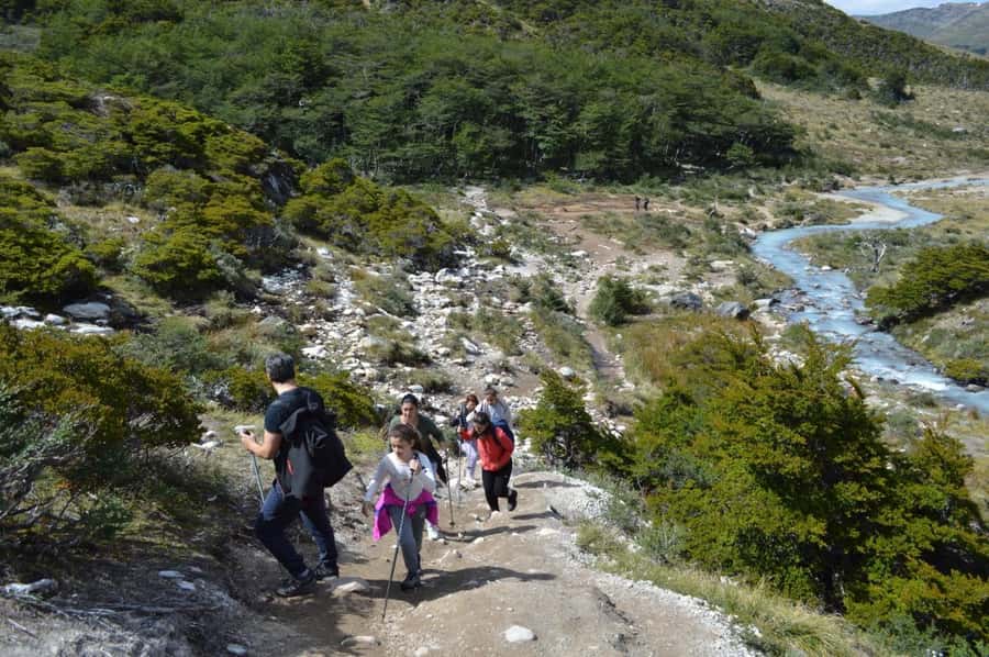 Ushuaia: Laguna Esmeralda Guided Trek with Box Lunch - A muddy walk through sub-Antarctic forest