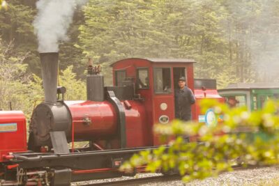 Ushuaia: National Park, Train, and Beagle Channel Navigation