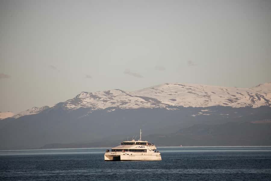 Ushuaia: National Park, Train, and Beagle Channel Navigation - Isla Martillo and the question of penguins