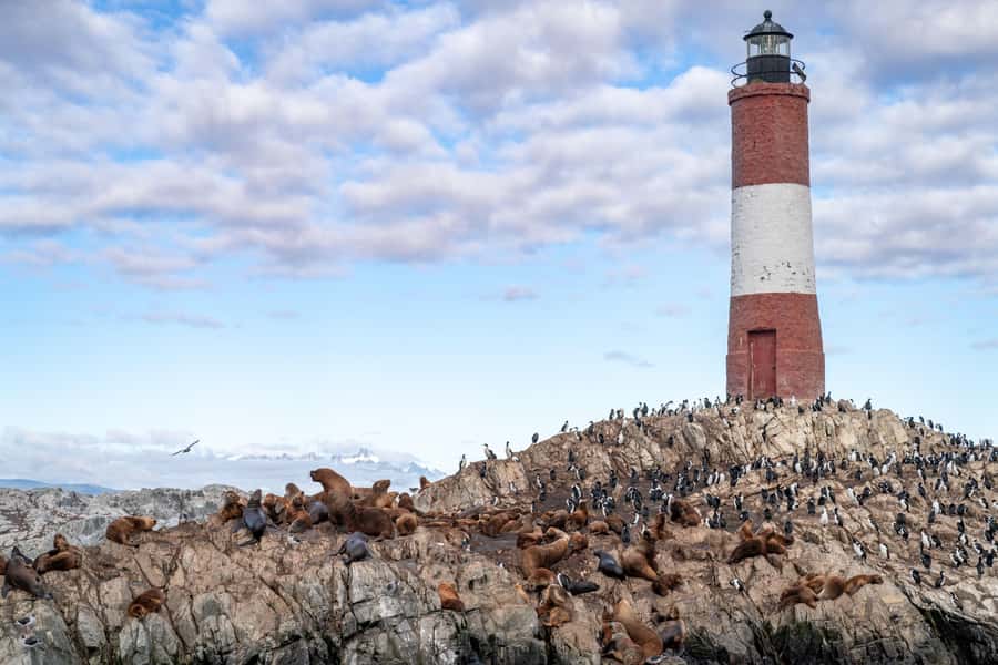USHUAIA | Navigation: Sea Lions, Birds and Lighthouse - Les Éclaireurs Lighthouse and the Monte Cervantes story