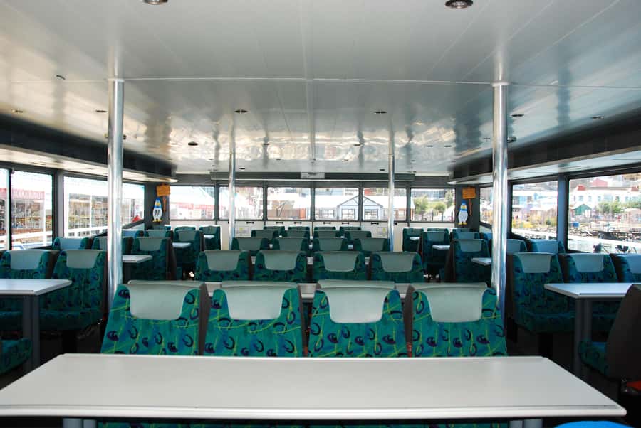 Ushuaia: Penguin Watching Tour by Catamaran - Comfort, commentary, and the practical tradeoffs