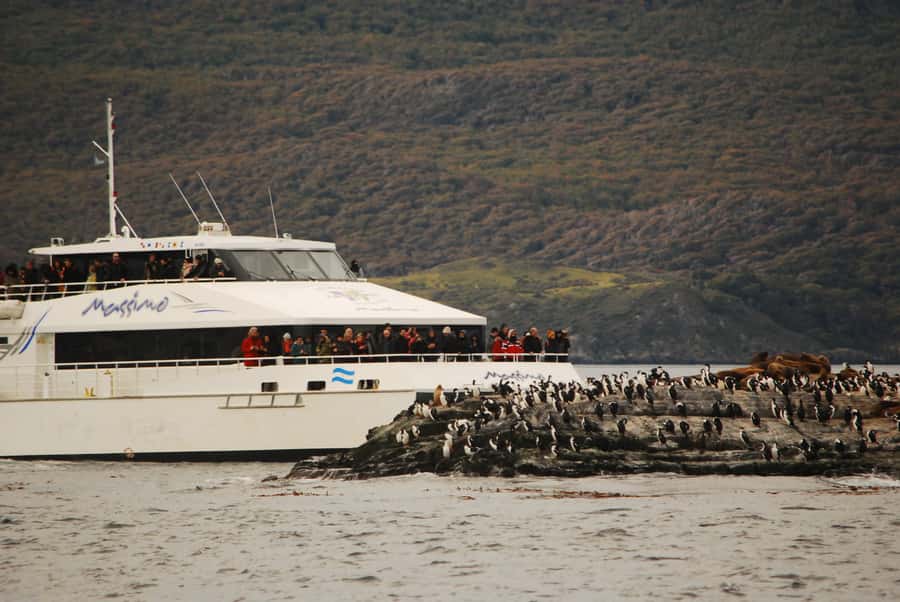 Ushuaia: Penguin Watching Tour by Catamaran - Crossing Ushuaia Bay into the Beagle Channel
