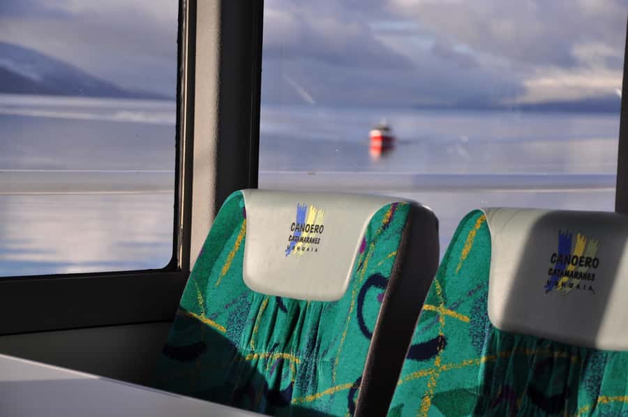 Ushuaia: Penguin Watching Tour by Catamaran - Bird Island and the first wildlife sightings