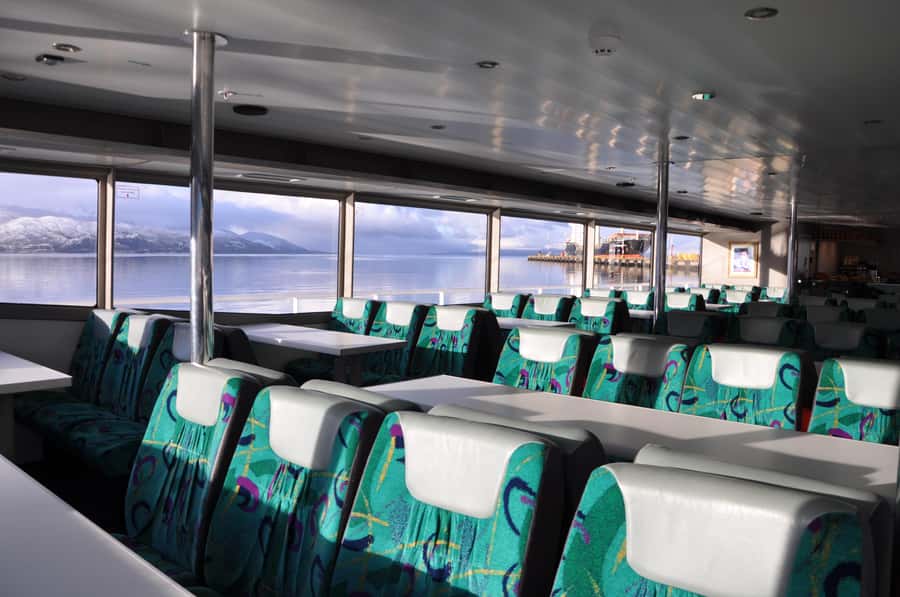 Ushuaia: Penguin Watching Tour by Catamaran - The long run east to Martillo Island