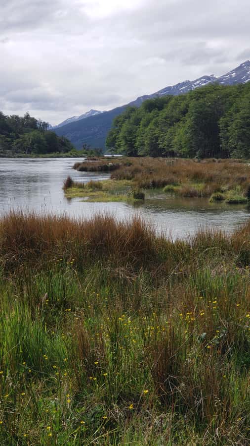 Ushuaia: Private Tour Tierra del Fuego National Park - Who will get the most from this half-day tour