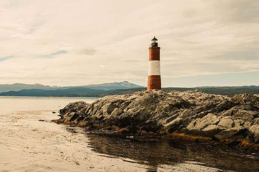 Ushuaia: Sailing Beagle Channel to the Penguin Colony - Los Lobos Island and the sea lions