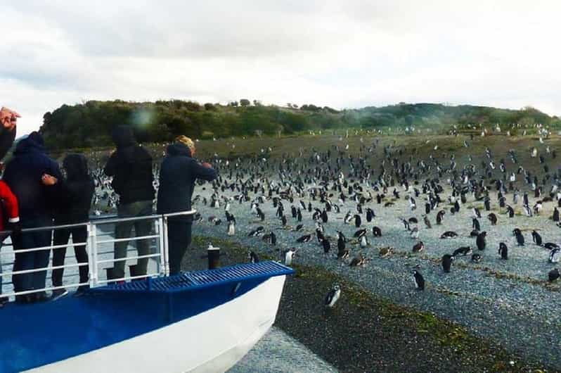Ushuaia: Sailing Beagle Channel to the Penguin Colony - Gable Island and views toward Puerto Williams