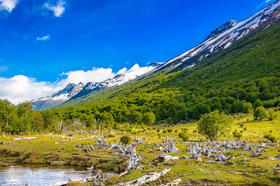 Ushuaia: Shared Experience "Tierra del Fuego" National Park - Verde Lagoon and the quieter middle of the route