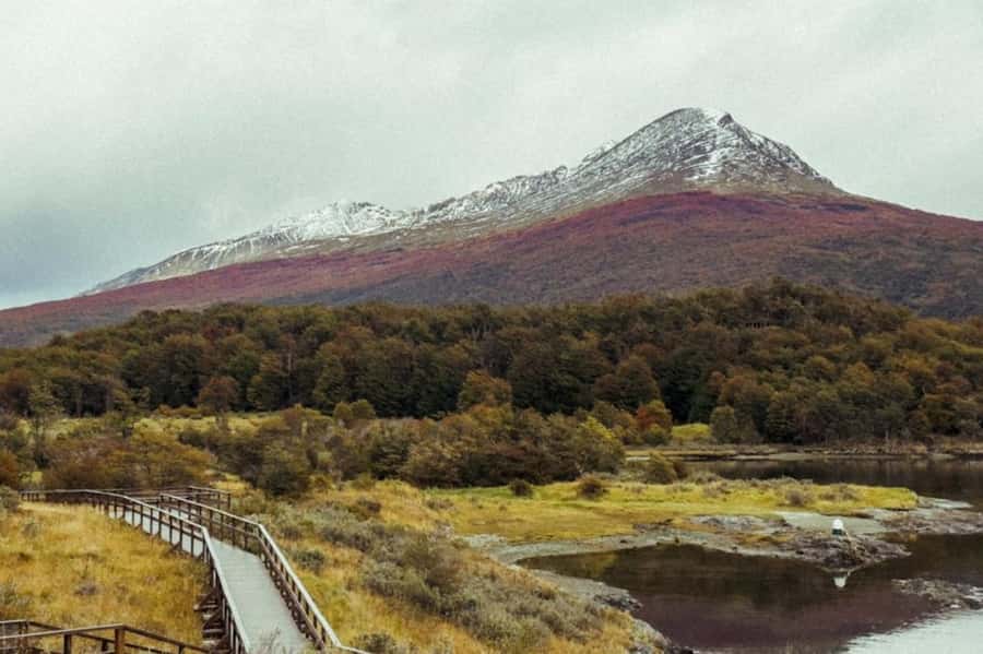 Ushuaia: Shared Experience "Tierra del Fuego" National Park - How the shared format affects the experience