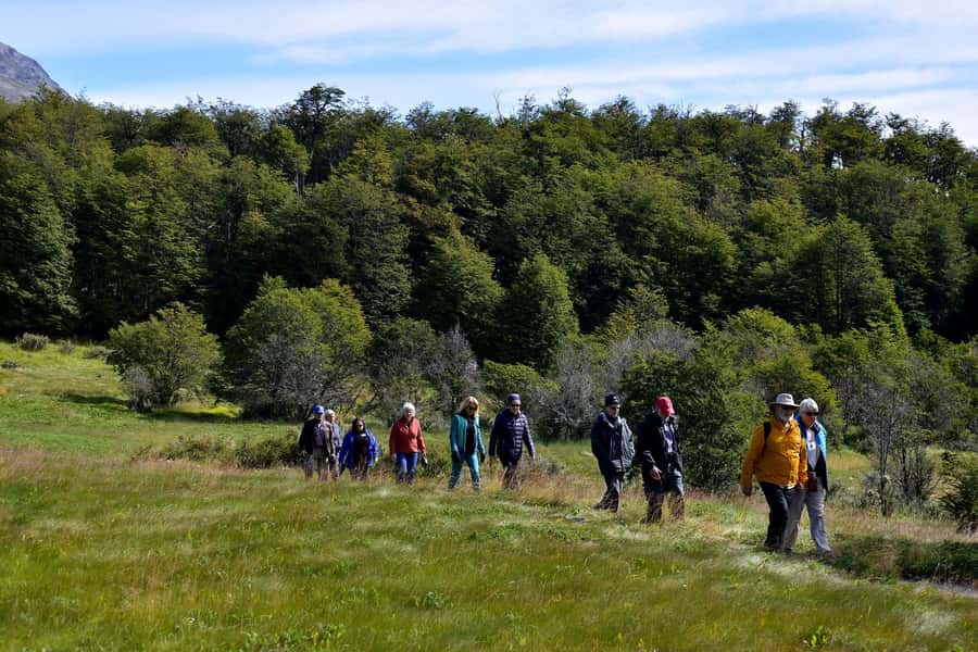 Ushuaia: Tierra del Fuego National Park - Key points to know before booking
