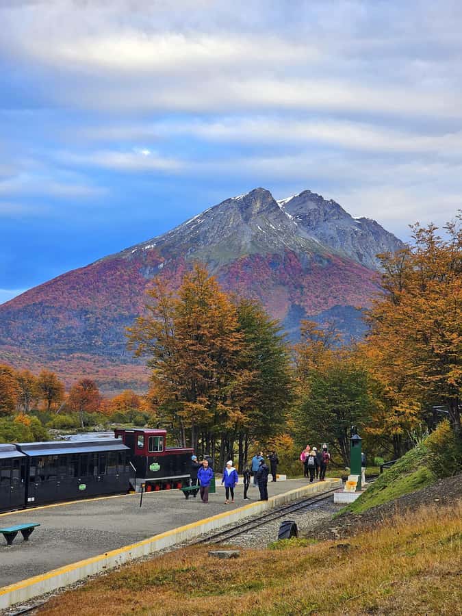 Ushuaia: Tierra del Fuego National Park - Who will enjoy this five-hour outing