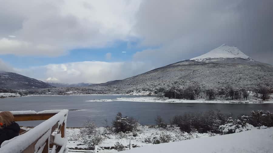 Ushuaia: Tierra del Fuego National Park - Who should book this Tierra del Fuego tour?