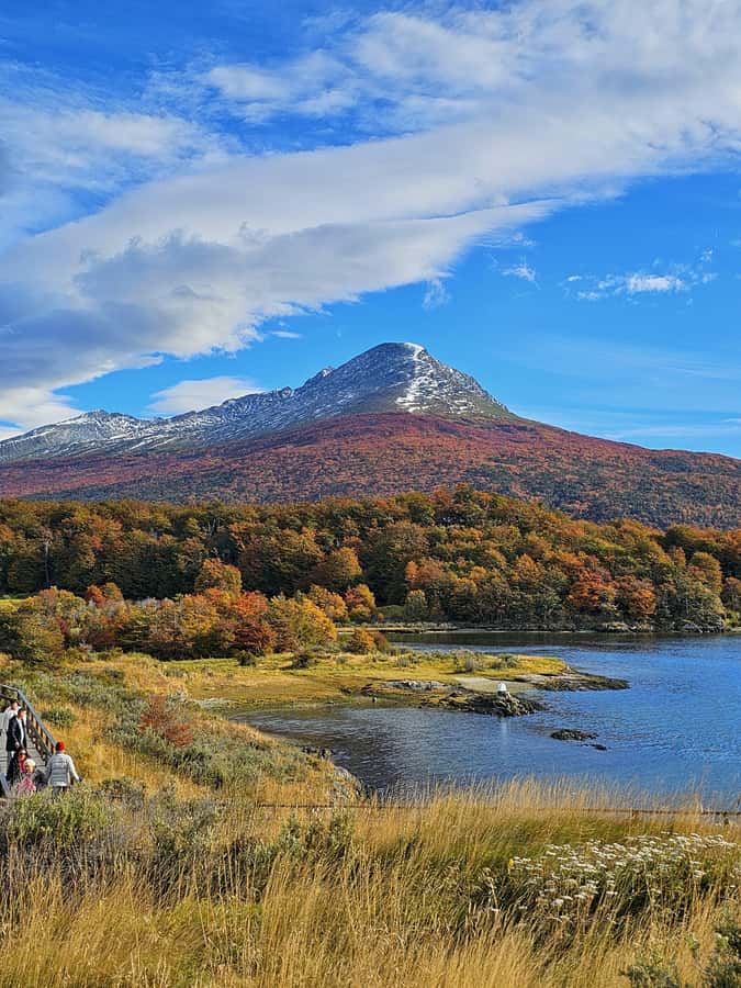 Ushuaia: Tierra del Fuego National Park - Lapataia Bay and the Pan-American highway endpoint