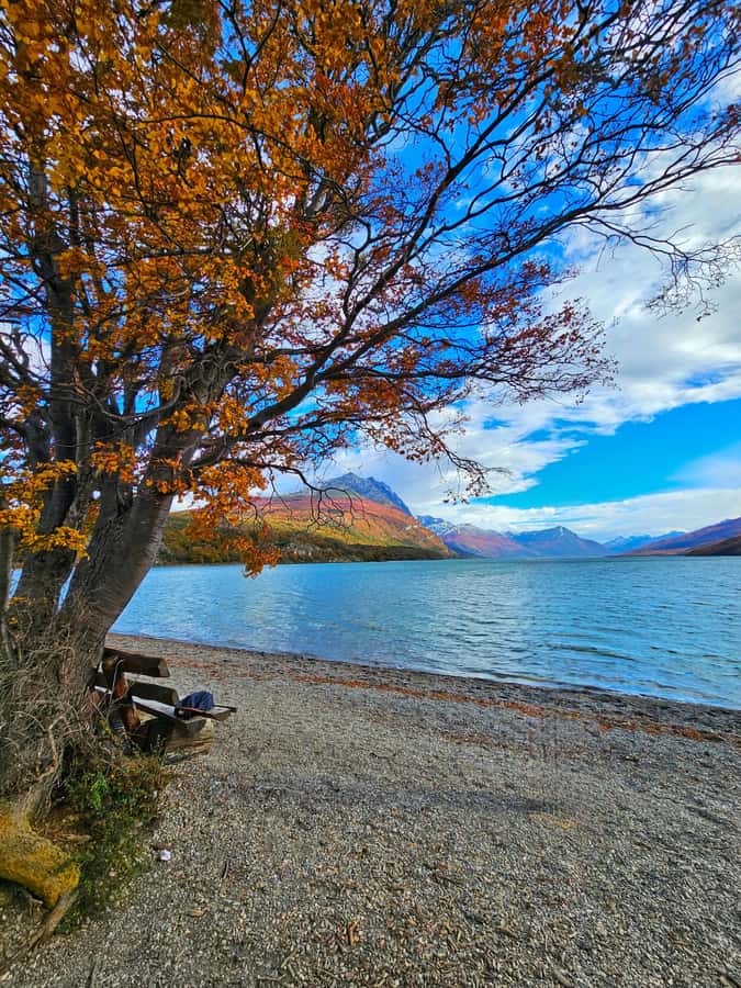 Ushuaia: Tierra del Fuego National Park - What the guide adds to the visit
