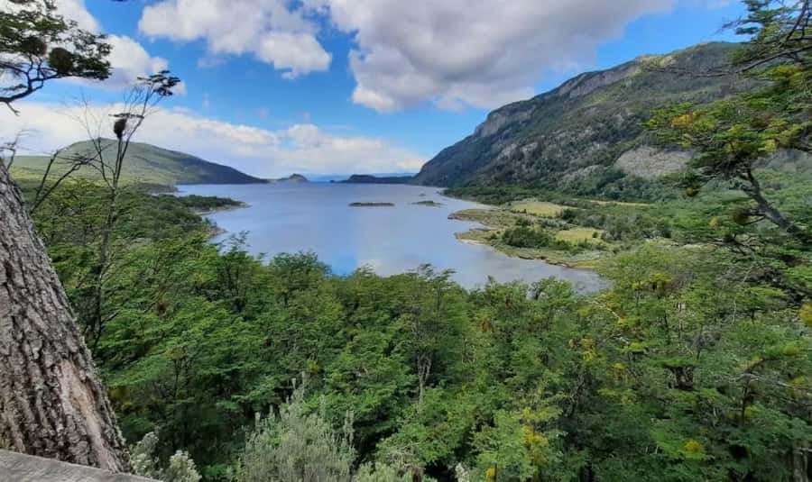 Ushuaia: Tierra del Fuego National Park Half-Day Tour - Ensenada Bay, archaeology, and the last post office