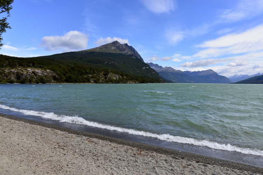 Ushuaia: Tierra del Fuego National Park Shore Excursion - Key points to know before you book