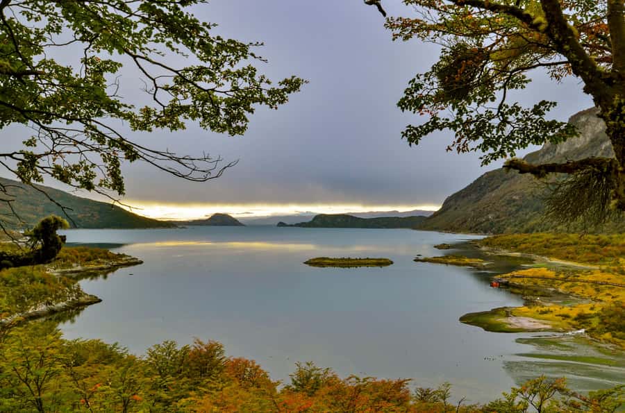 Ushuaia: Tierra del Fuego National Park Tour with Lunch - A Six-Hour Introduction to Tierra del Fuego