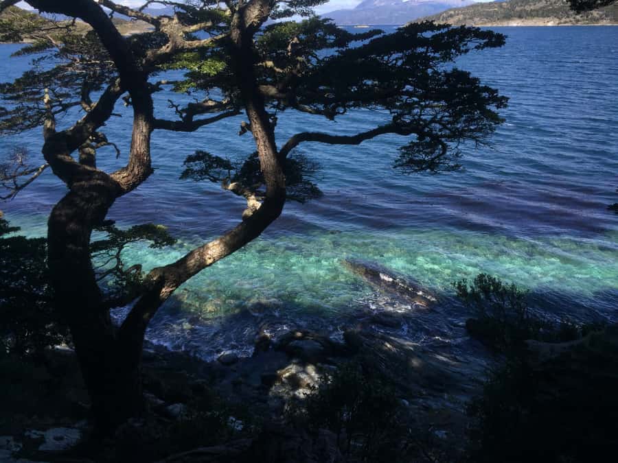 Ushuaia: Tierra del Fuego National Park Tour with Lunch - Should You Book It?