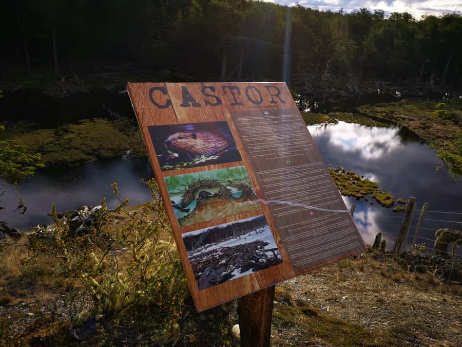 Ushuaia: Visit to Escondido and Fagnano Lakes PM - Who should choose this afternoon outing?