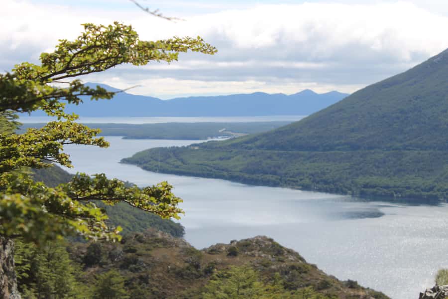 Ushuaia: Visit to Escondido and Fagnano Lakes PM - The road to Fagnano Lake