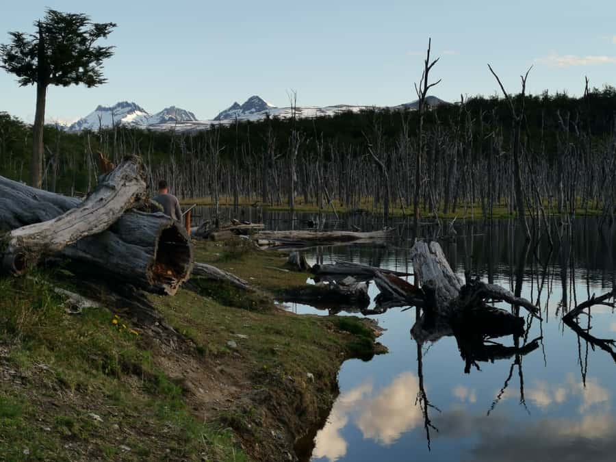 Ushuaia: Visit to Escondido and Fagnano Lakes PM - Five hours that balance views and activity