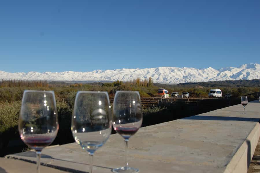 Valle de Uco: Private Full Day Wine Tour with 3-Course Lunch - Crossing Route 40 into Valle de Uco