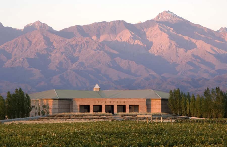 Valle de Uco: Private Full Day Wine Tour with 3-Course Lunch - Lunch is a major part of the value