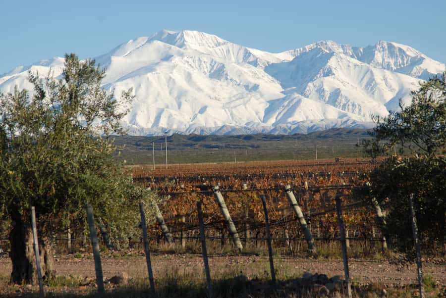 Valle de Uco: Private Full Day Wine Tour with 3-Course Lunch - My booking advice