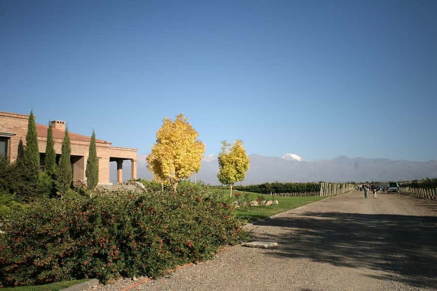 Valle de Uco: Private Full Day Wine Tour with 3-Course Lunch - What the winery visits are like