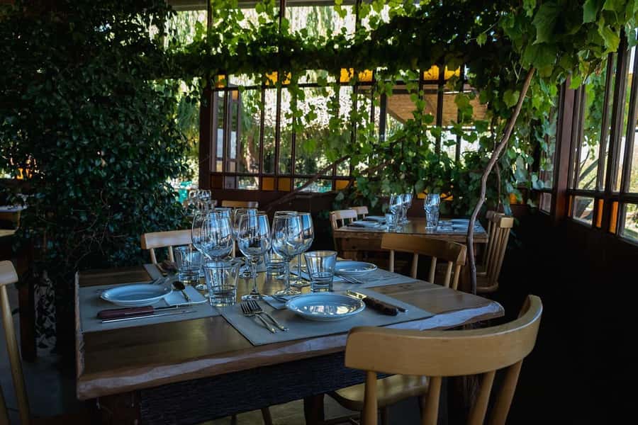 Visit & Tasting at Salentein + Lunch at La Azul - The five-minute transfer to La Azul