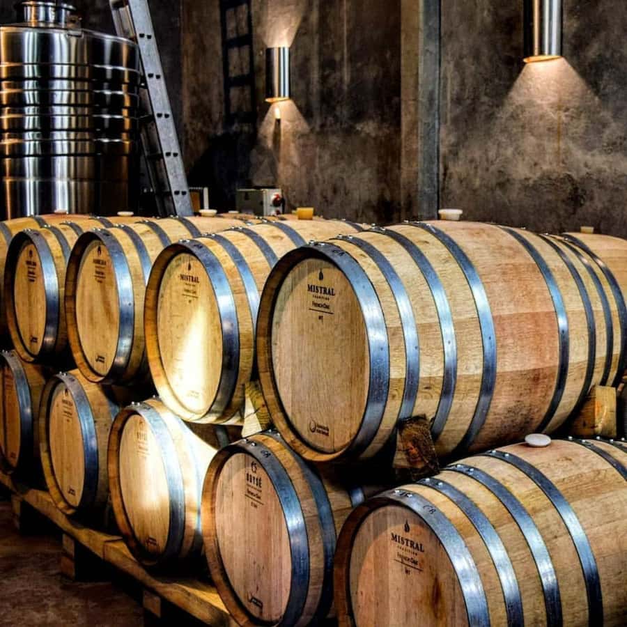 Visit & Tasting at Salentein + Lunch at La Azul - Who should book this Mendoza wine day?