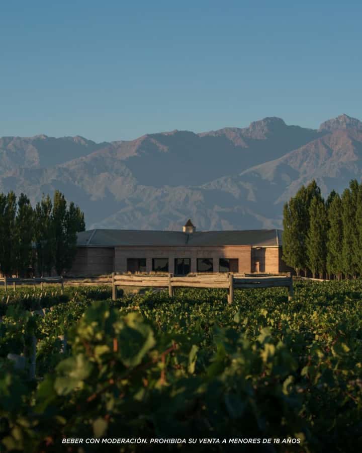 Visit & Tasting at Salentein + Lunch at La Azul - FAQ