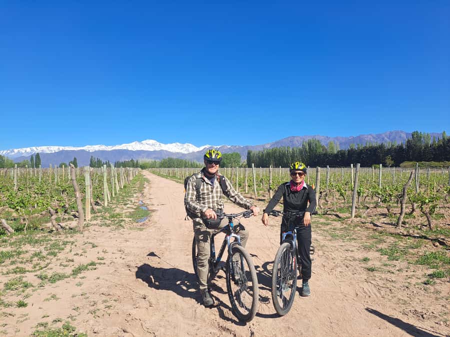Wine and Chocolate Bike Tour: ride, taste, lunch, vineyards. - Key points at a glance