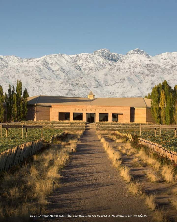 Wine Icons: Meet Salentein at the heart of Uco Valley - Your private ride into the Uco Valley