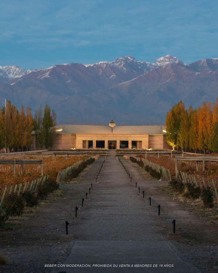 Wine Icons: Meet Salentein at the heart of Uco Valley - The four-wine tasting, from Reserve to sparkling wine