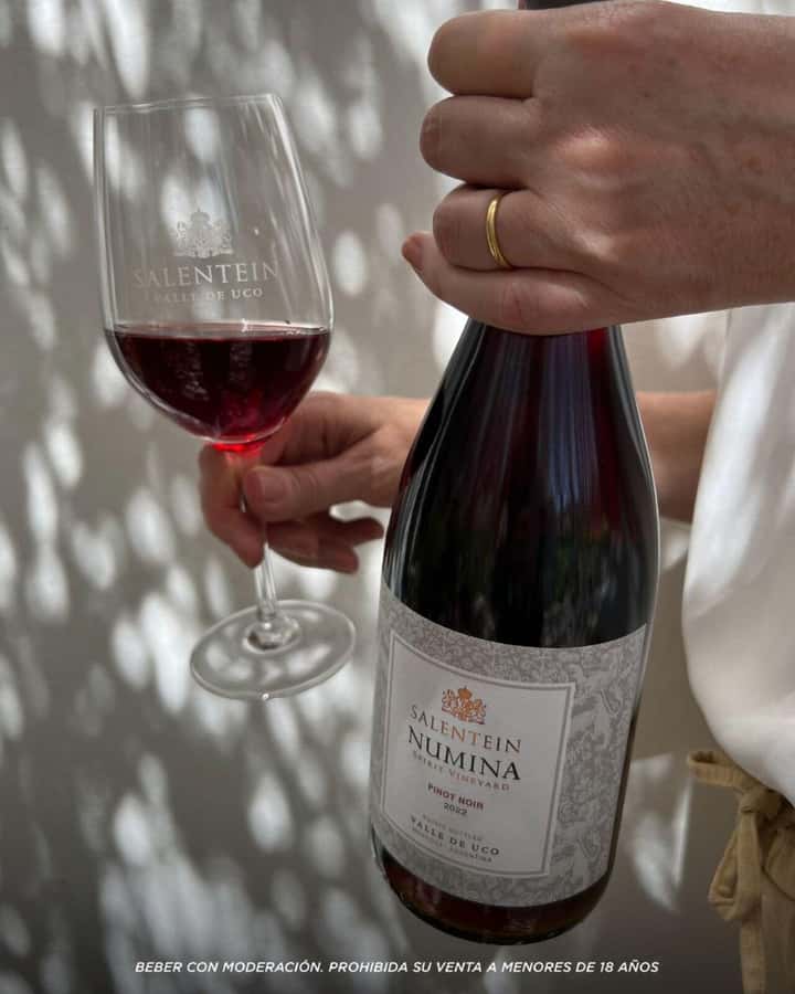 Wine Icons: Meet Salentein at the heart of Uco Valley - Adding lunch and regional food in the Uco Valley