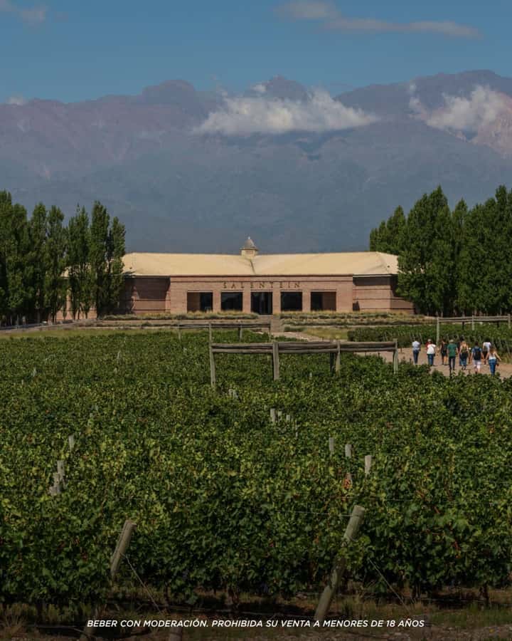 Wine Icons: Meet Salentein at the heart of Uco Valley - Practical details that can shape your day