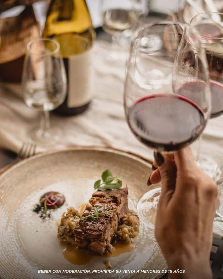 Wine Icons: Meet Salentein at the heart of Uco Valley - Should you book Bodega Salentein?
