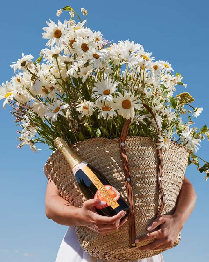 Wine Icons: Meet the sparkling world of Chandon - How this compares with a standard winery stop
